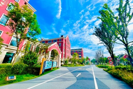 成都市新津区成外学校 成都市新津区成外学校