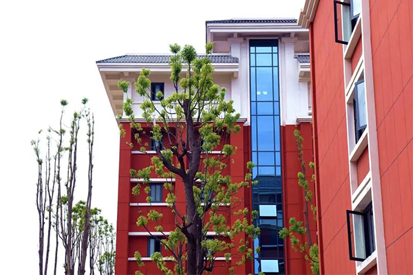 金堂润泽高级中学