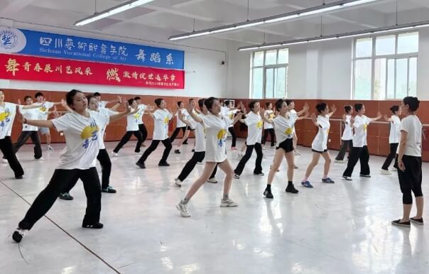 四川艺术职业学院 四川艺术职业学院