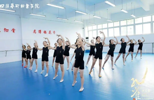 四川艺术职业学院 四川艺术职业学院