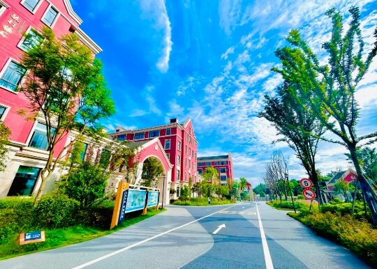 成都市新津区成外学校 成都市新津区成外学校