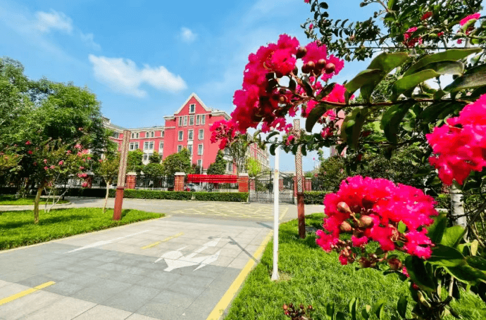 新津成外