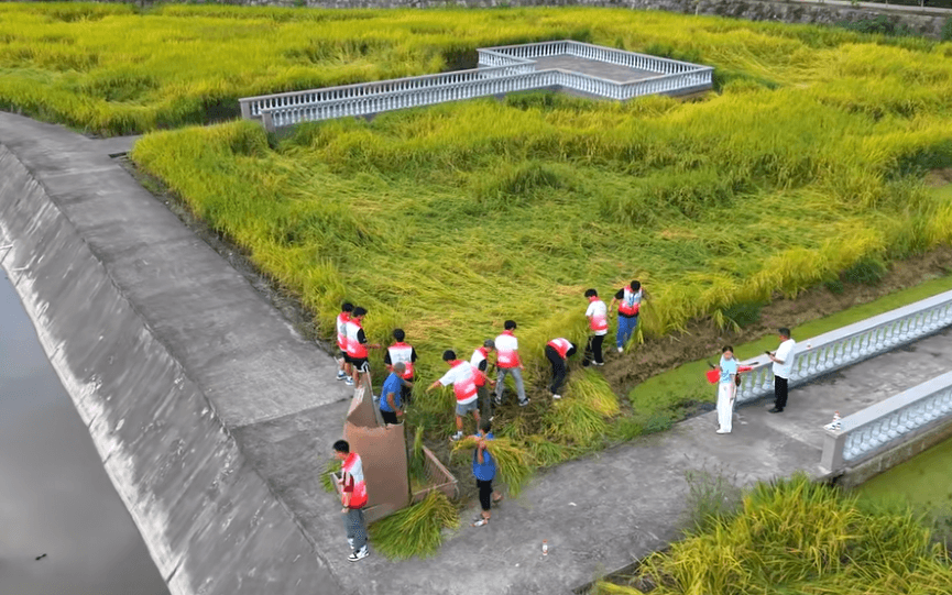 四川省三台中学 四川省三台中学