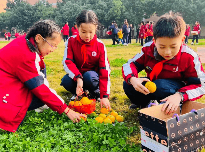 成都市温江区冠城实验学校 成都市温江区冠城实验学校