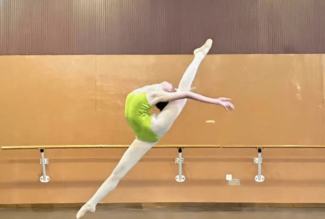 四川师大附中成龙分校