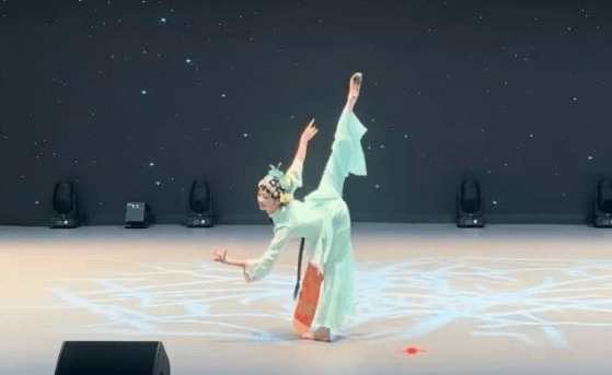 四川师大附中成龙分校