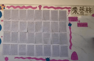 资阳安岳实验中学