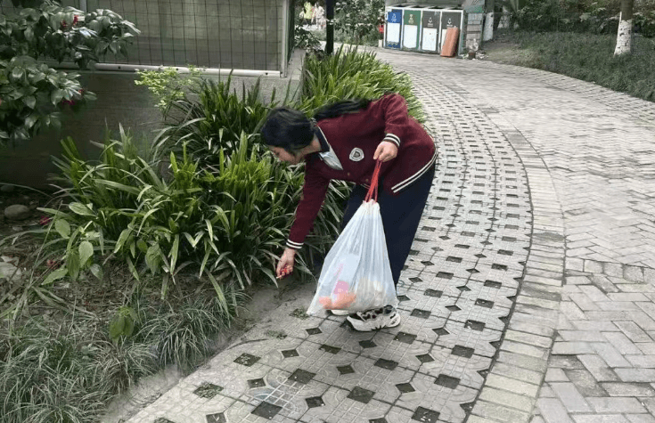 成都市西川汇锦都高级中学 成都市西川汇锦都高级中学