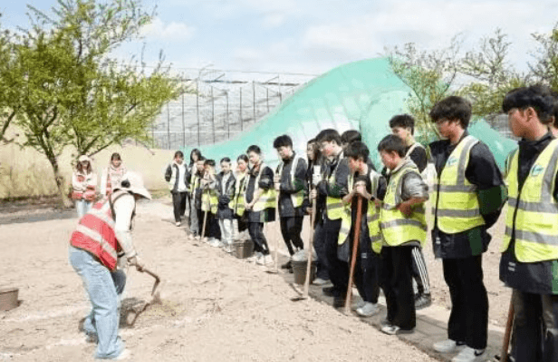 蓬溪绿然学校 蓬溪绿然学校