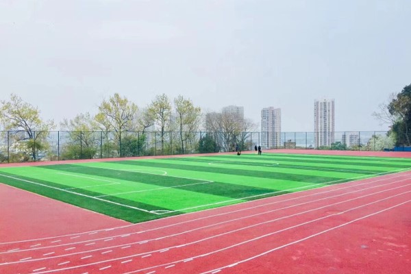 青白江鸿鹄高中