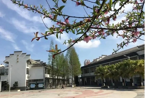 龙泉驿区师一中学校招生简章 龙泉驿区师一中学校招生简章