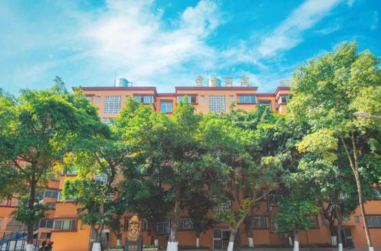 成都市金牛区实外高级中学 成都市金牛区实外高级中学