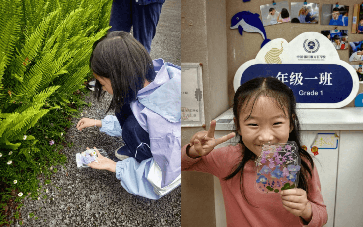 都江堰市领川万汇实验学校 都江堰市领川万汇实验学校