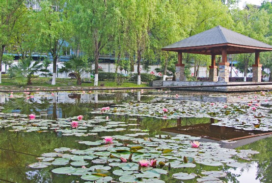 四川五月花技师学院湖景
