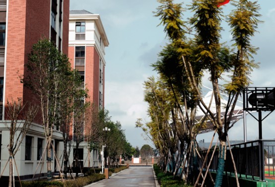 德阳市博雅明德高级中学校园一角