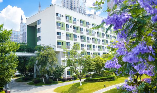 金苹果锦城第一中学环境
