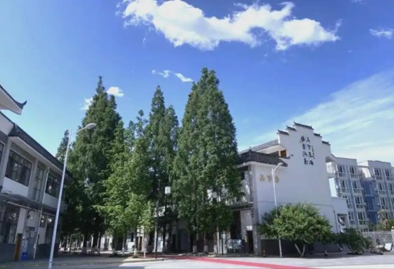 龙泉师一学校校园环境