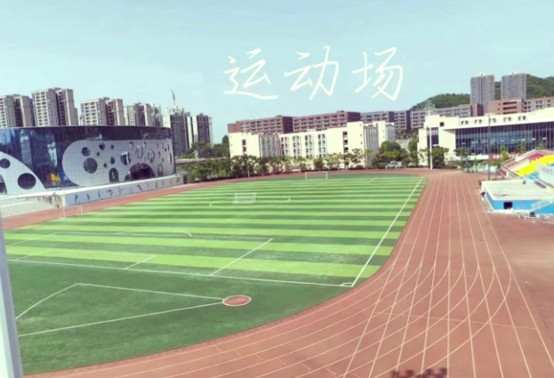 天府新区信息职业学院运动场 天府新区信息职业学院运动场