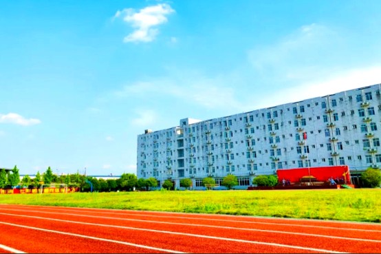 棠湖艺高校园一角